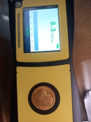 Moneda de Oro 