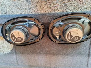 Altavoces Ovalados Pioneer para Coche