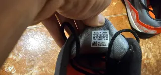 Zapatillas Adidas Terrex.