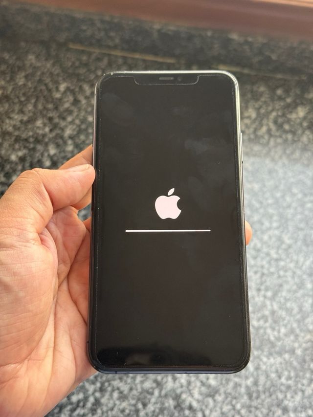 iPhone 11 Pro Max 64GB Verde/Multicolore