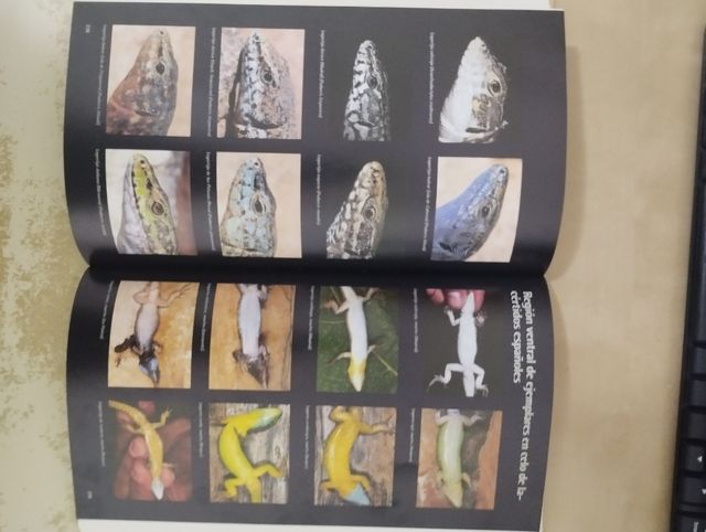 Anfibios y reptiles de la península Ibérica, Ba...