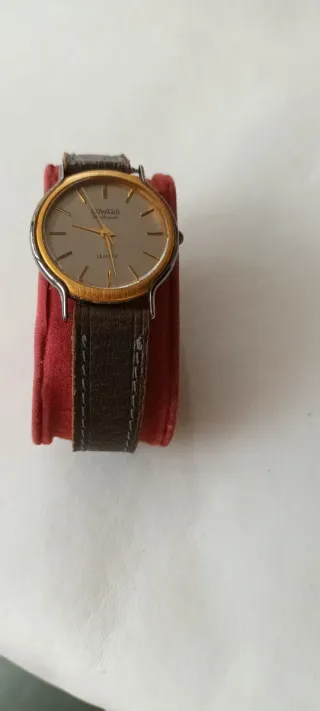 Reloj Duward Hombre Cuarzo Dorado Marrón