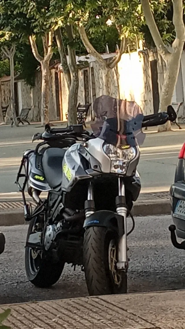 Aprilia Pegaso Strada 2007