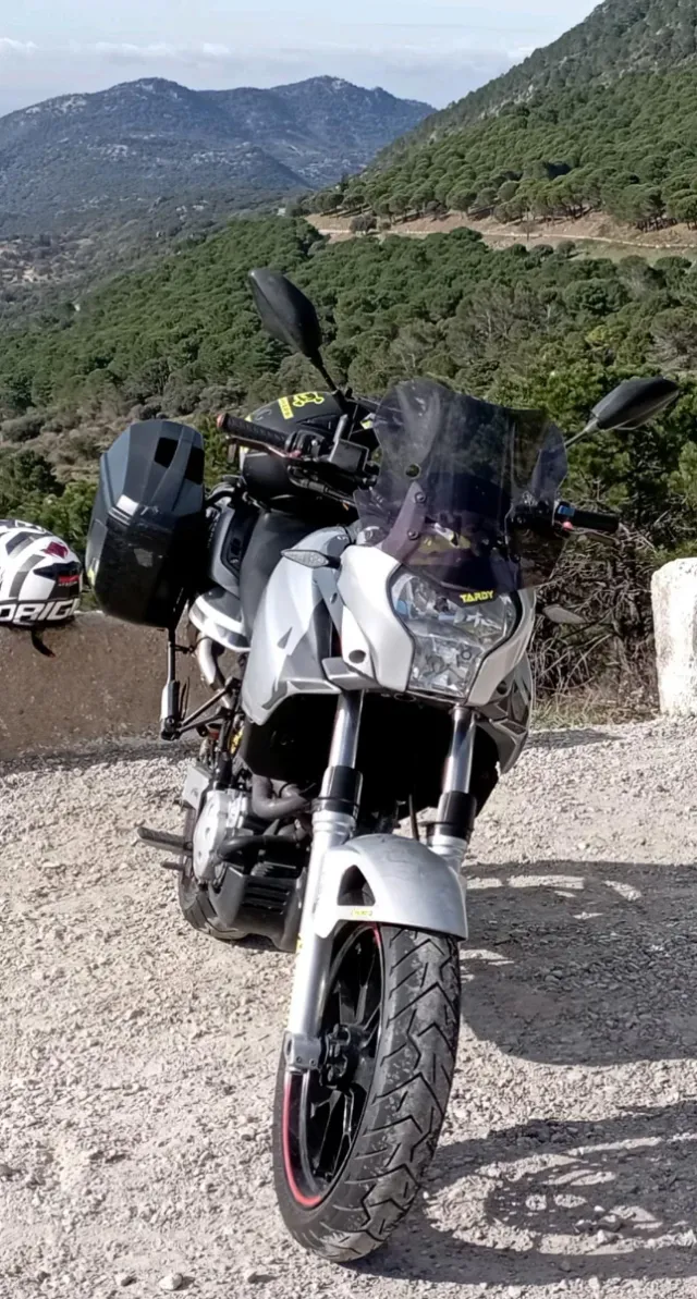 Aprilia Pegaso Strada 2007