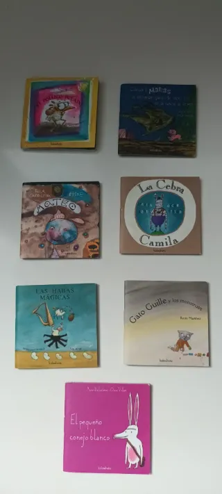 MINI LIBROS