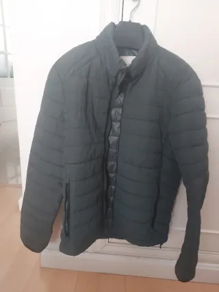 Plumas hombre verde