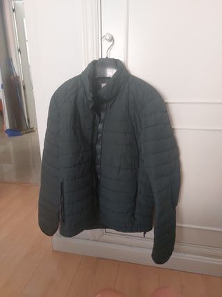 Plumas hombre verde