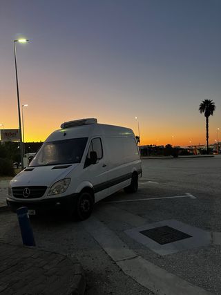 Mercedes-Benz Sprinter 515 cdi frigorifica