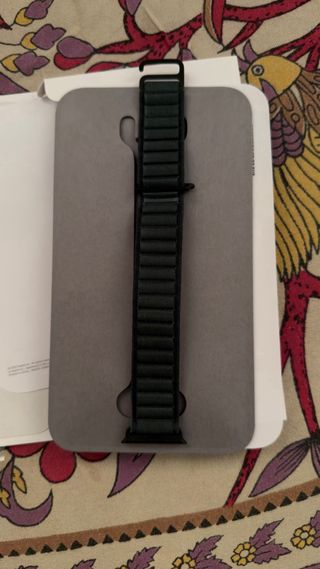 Correa Alpine Loop Apple Watch Ultra 2/3 Negra/Ver