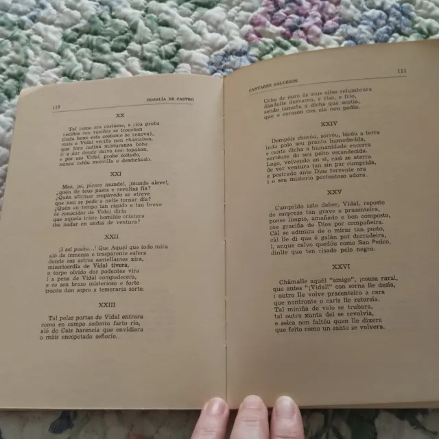 Poesías.Cantares Gallegos.Follas Novas.Orillas del