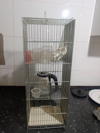Jaula para pájaros