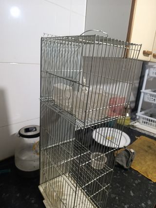 Jaula para pájaros