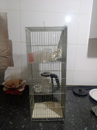 Jaula para pájaros