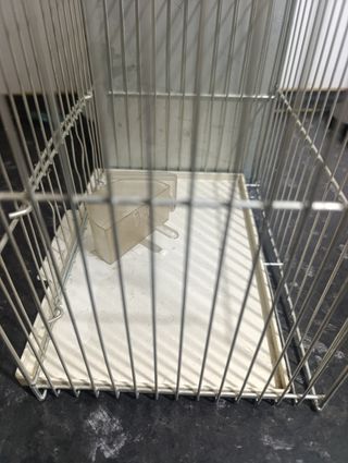 Jaula para pájaros
