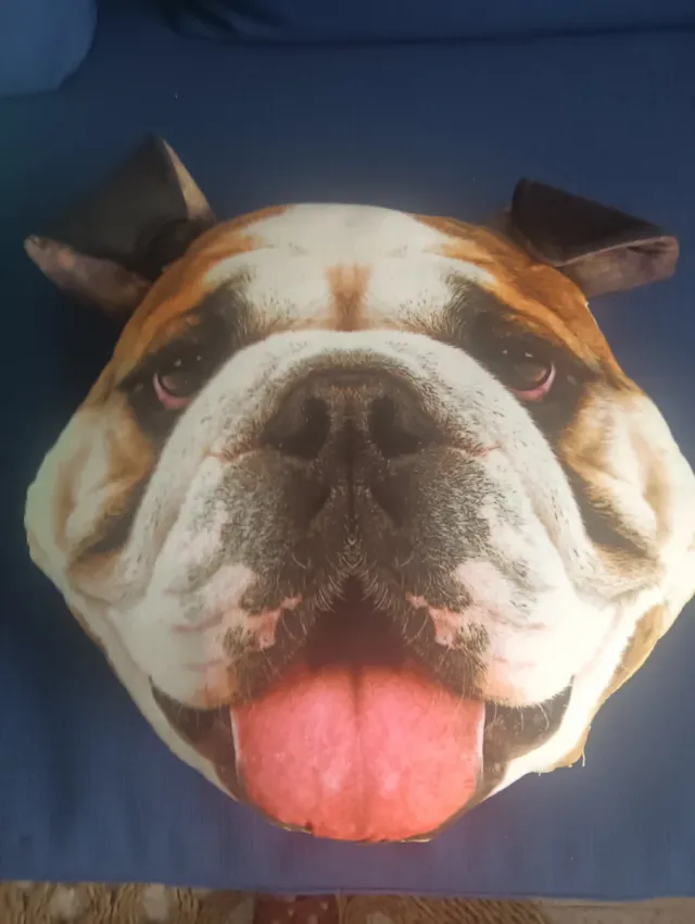 Cojín Cara Perro Bulldog Marrón y Blanco