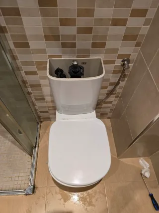 Manitas