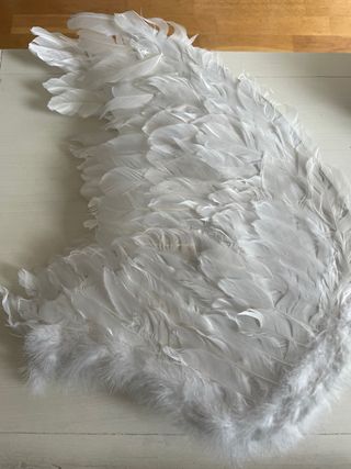 Alas Blancas Plumas Halloween Carnaval