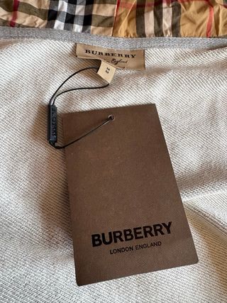 Sudadera Burberry Gris con Capucha
