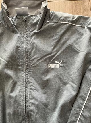 Chaqueta deportiva Puma gris