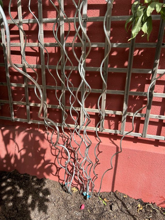Palos para plantas trepadoras