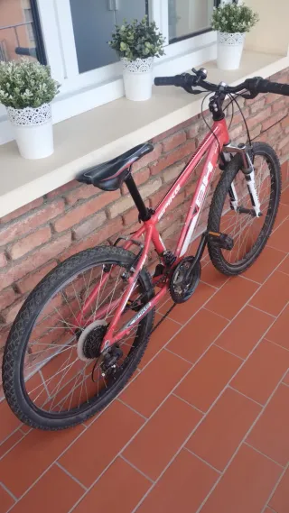 Bicicleta BH Spike Aluminio 24" Junior Roja