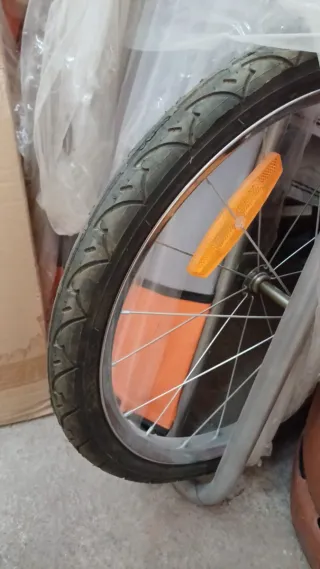 Remolque Bicicleta Niños 2 Plazas