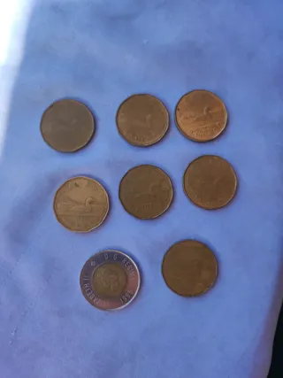 Lotto in dollari canadesi