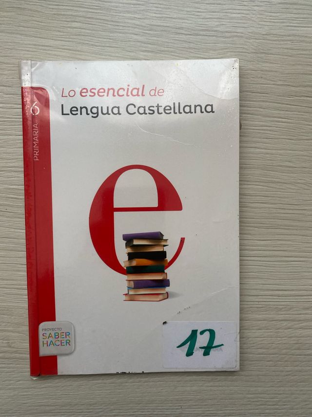 Lo esencial de lengua castellana