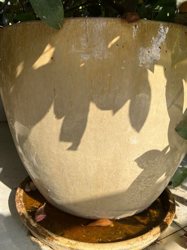 Vaso in ceramica senape