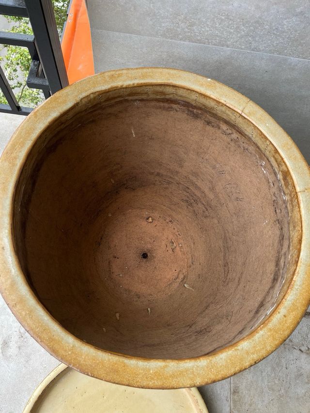 Vaso in ceramica senape