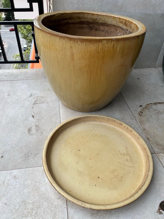 Vaso in ceramica senape