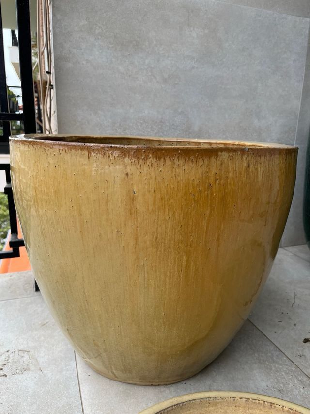 Vaso in ceramica senape