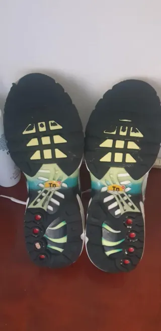 Nike TN Air Max Plus