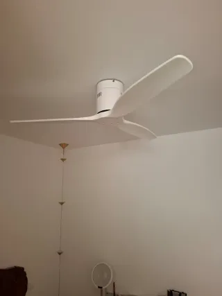 Manitas Angel #632292099 