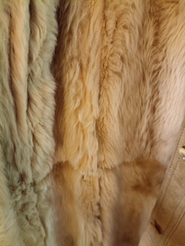 Montone Shearling  Beige