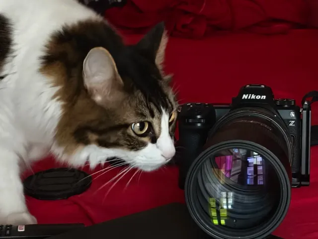 Nikkor AF-S 300mm f/4D (IF) ED