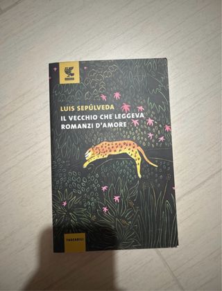 Il vecchio che leggeva romanzi d'amore