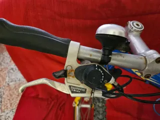Bicicleta Montaña Rampage Apollo Shimano 21 Vel.