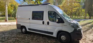 FIAT Ducato 2019