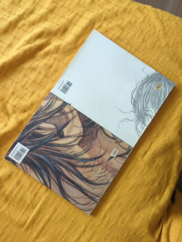 Artbooks vagabond