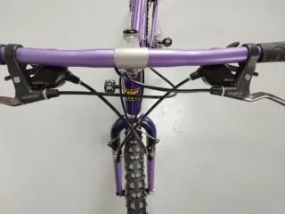 BH Top Line 450 Aluminio