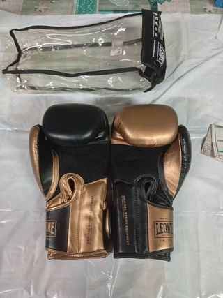Guantes Boxeo Leone Italian Style