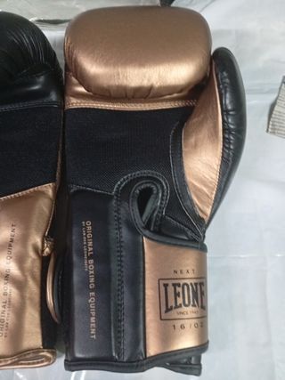Guantes Boxeo Leone Italian Style