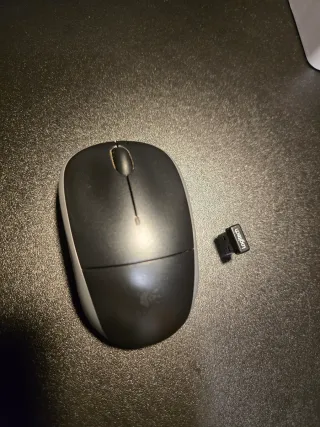 Ratón inalámbrico Logitech Negro/Gris
