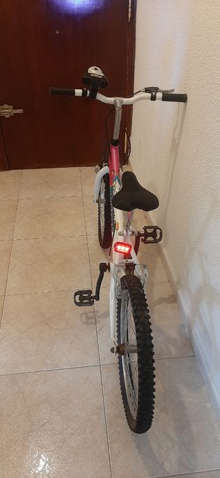 Bicicleta Trotter niñas 