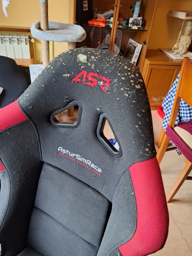 Volante Fanatec BMW M4 GT3