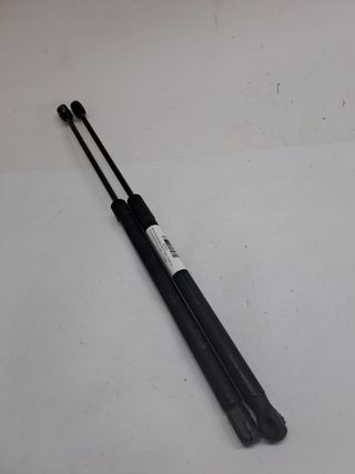 AMORTIGUADORES MALETERO / PORTON VOLKSWAGEN POLO (6R1) (4)