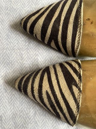 Zapatos estampado Cebra y Transparentes