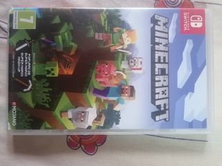 Minecraft Nintendo Switch