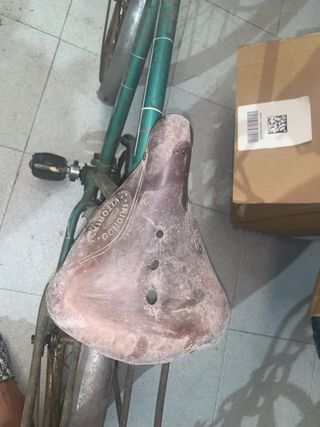 Bicicleta Antigua Verde